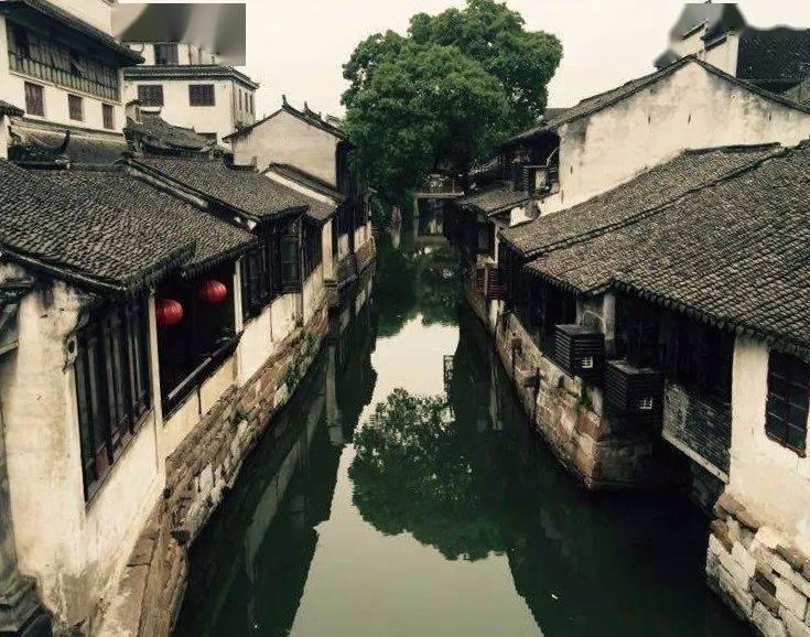 清理脏乱的宫殿